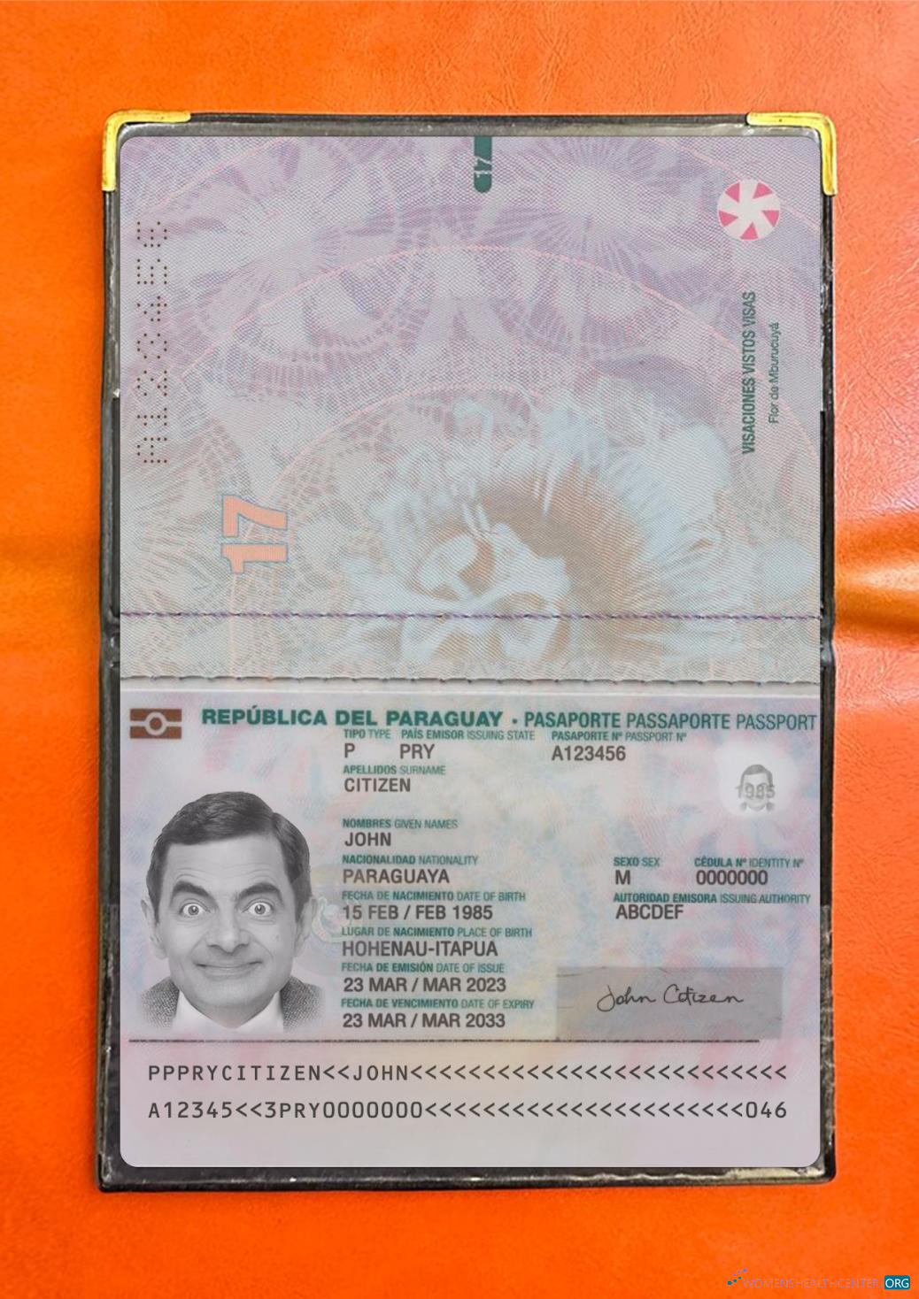 Download Paraguay passport 2023 present photolook Photoshop template